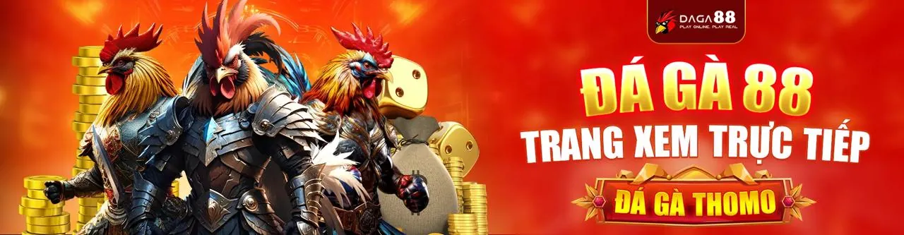 Sân đấu đá gà trực tuyến ae388club sôi động